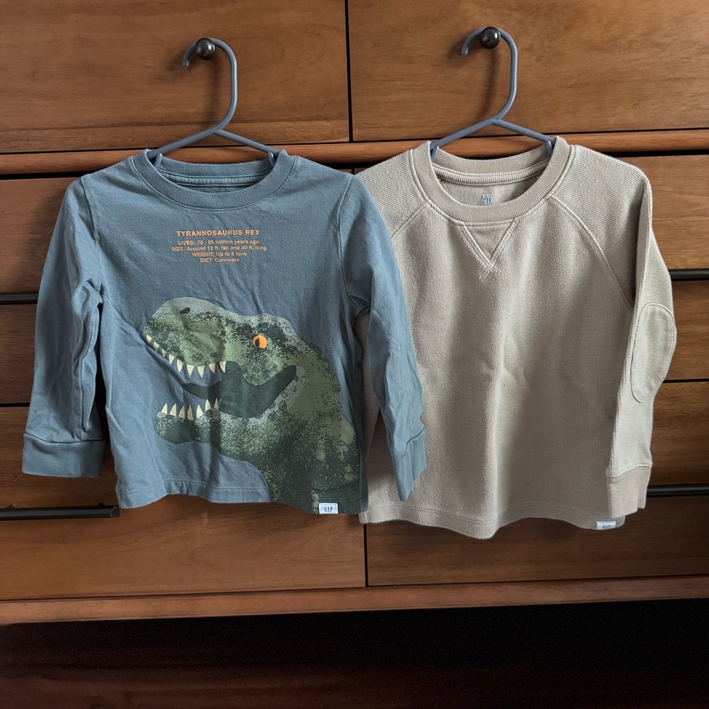 babyGAP Kids Bundle Green Dinosaur Graphic Tee and Beige Crewneck Long Sleeve